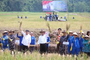 PANEN RAYA TNI ANGKATAN LAUT DI WILAYAH LAMPUNG TAHUN 2024