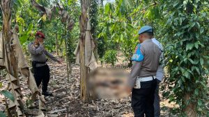 Polisi Selidiki Penemuan Mayat Dikebun Milik Warrga Pringsewu