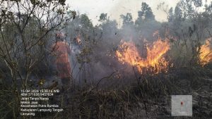 350 Hektar Lahan Hingga Satwa di TN Way Kambas Terbakar