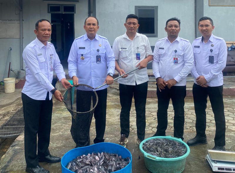 Dukung Program Menteri Imigrasi dan Pemasyarakatan, Lapas Narkotika Bandar Lampung Sukses Panen Lele 150kg