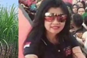 Terungkap Dipersidangan Suap Aparat, Ketum PWDPI Minta Kejagung dan KPK Periksa Bos SGC  Ny Lee